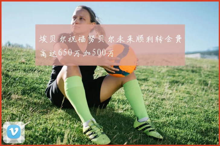 埃贝尔祝福努贝尔未来顺利转会费高达650万加500万